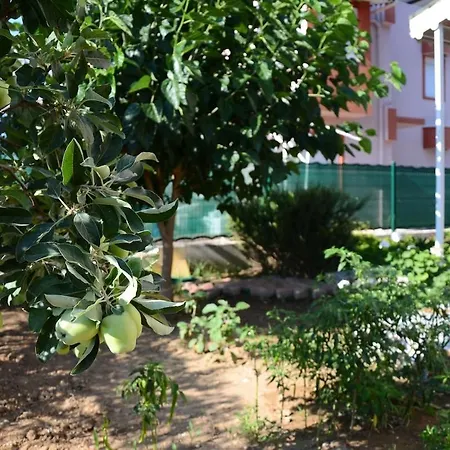 Cacthouse Antalya Private 度假居 贝莱克