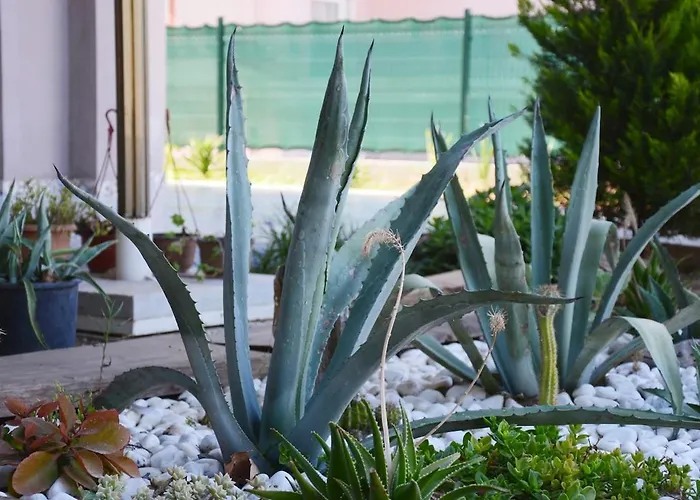 بيت للعطل Cacthouse Antalya Private