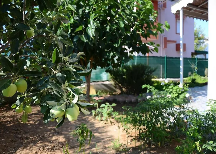 Cacthouse Antalya Private بيت للعطل بيليك